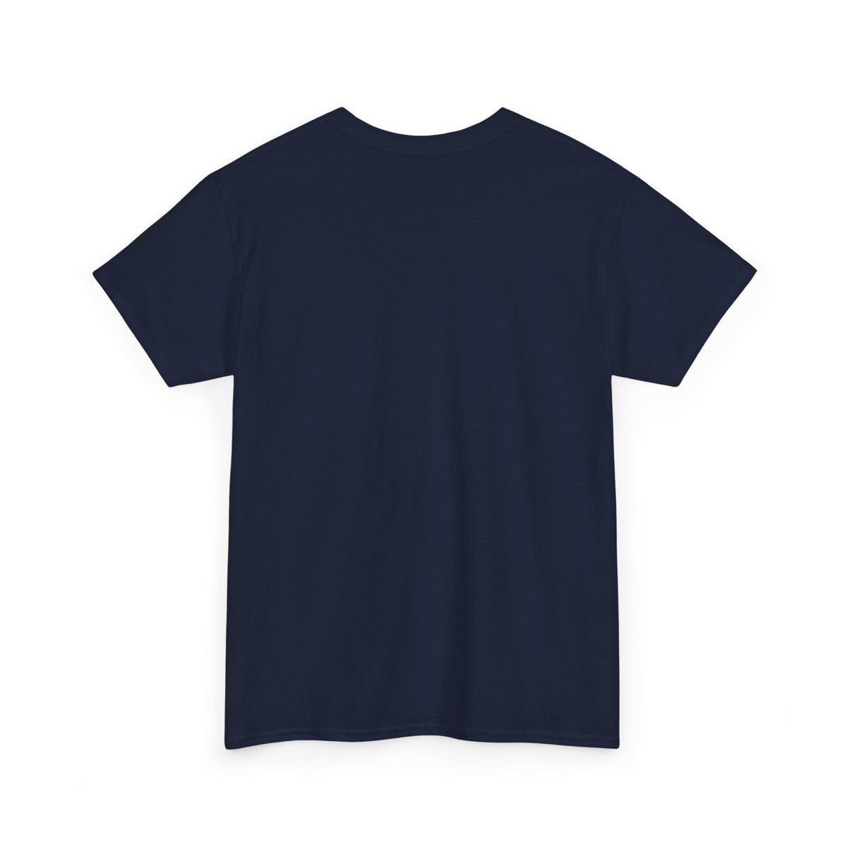 Motivational Quote Tee — “If You Never Know Failure You Will Never Know Success”