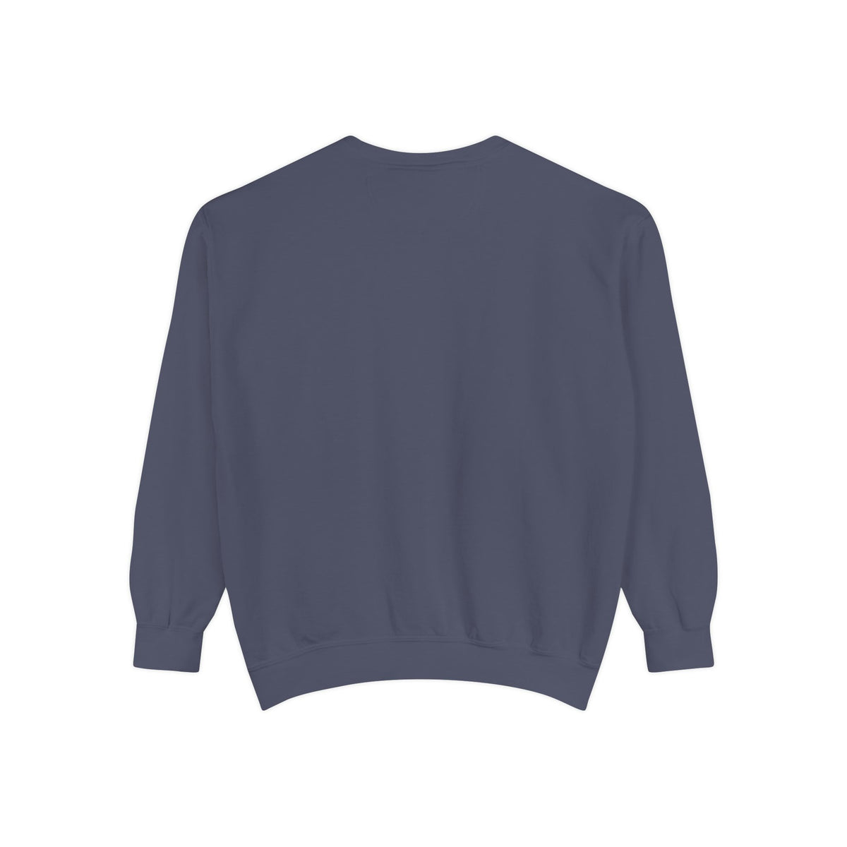 Big Dream Only Sweatshirt — Retro Graphic Crewneck for Dreamers