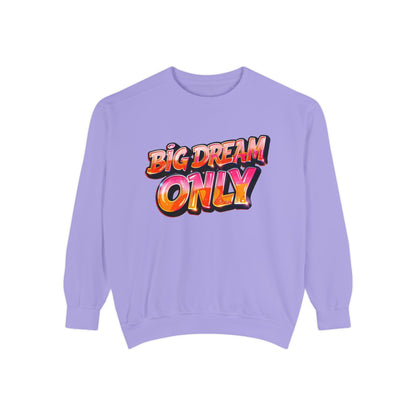 Big Dream Only Sweatshirt — Retro Graphic Crewneck for Dreamers